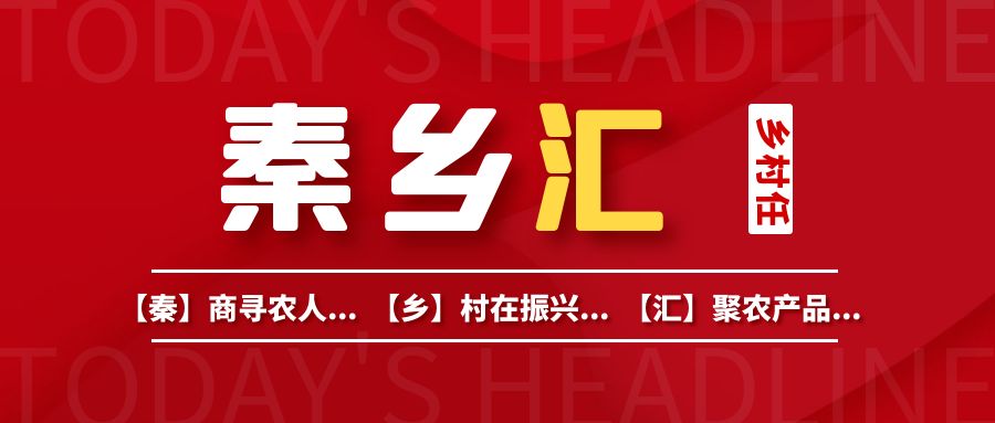 关于2025年度全省供销社系统农业社会化服务主体名录库的公示