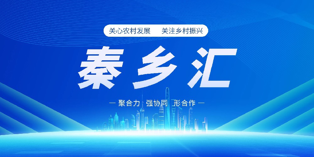 三秦美食大比拼，谁是你心中第一？